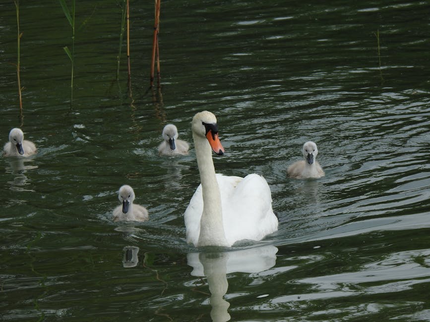 5 Ways to Bring Nature Inside with Modern Planter Stands